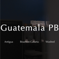 Guatemala PB Antigua Washed