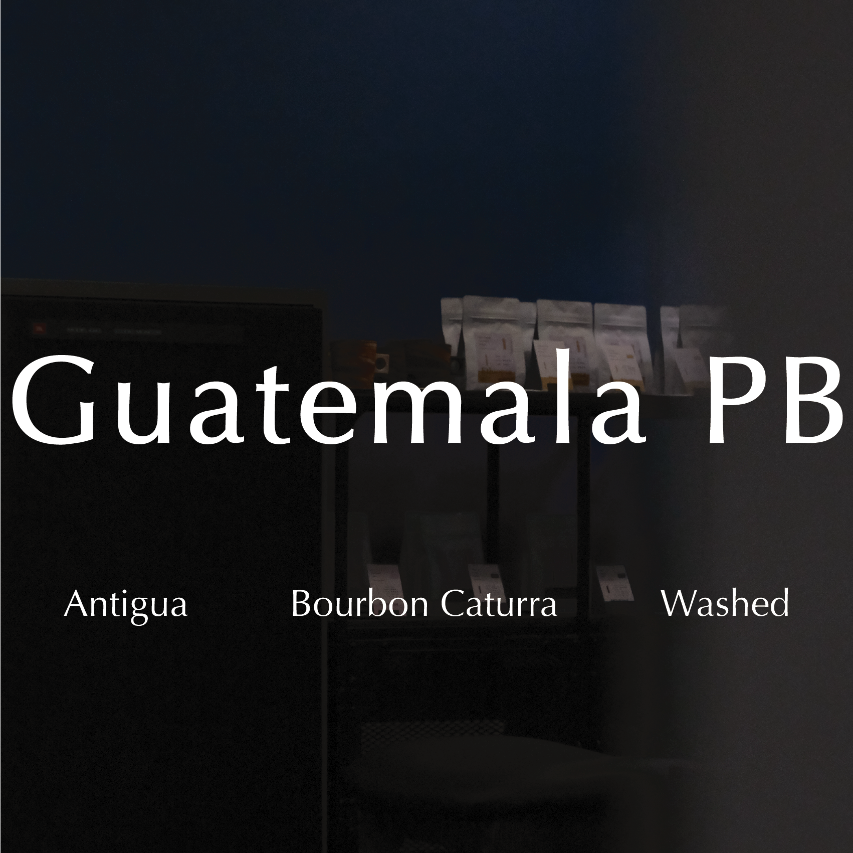 Guatemala PB Antigua Washed