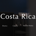 Costa Rica Brunca Passion Honey